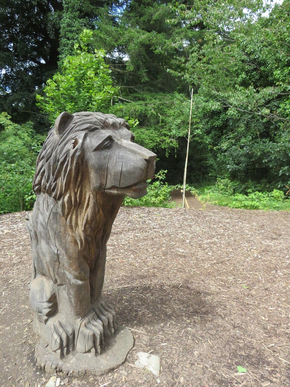 Carved wooden Aslan sculpture on the Narnia Trail in Kilbroney Forest Park