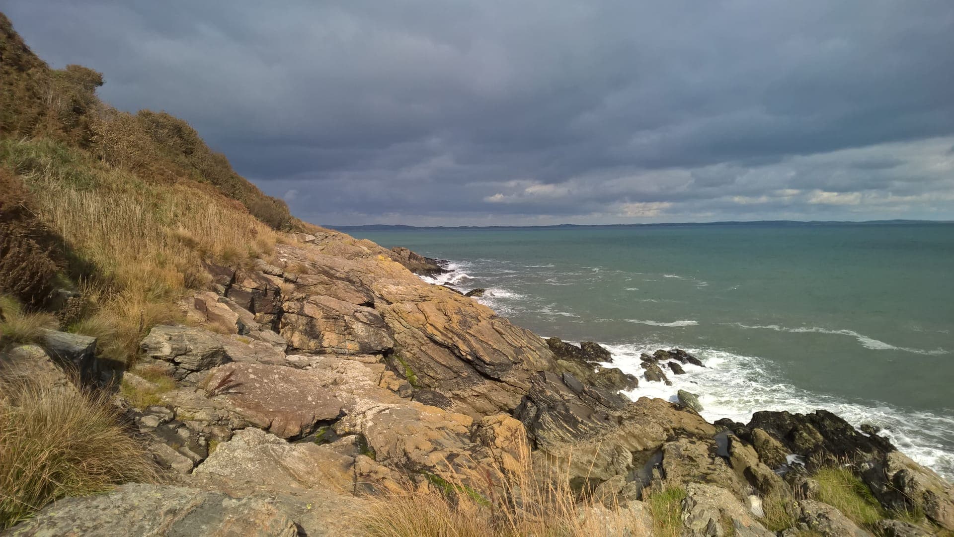 The Names Carved Into Trees Before D-Day