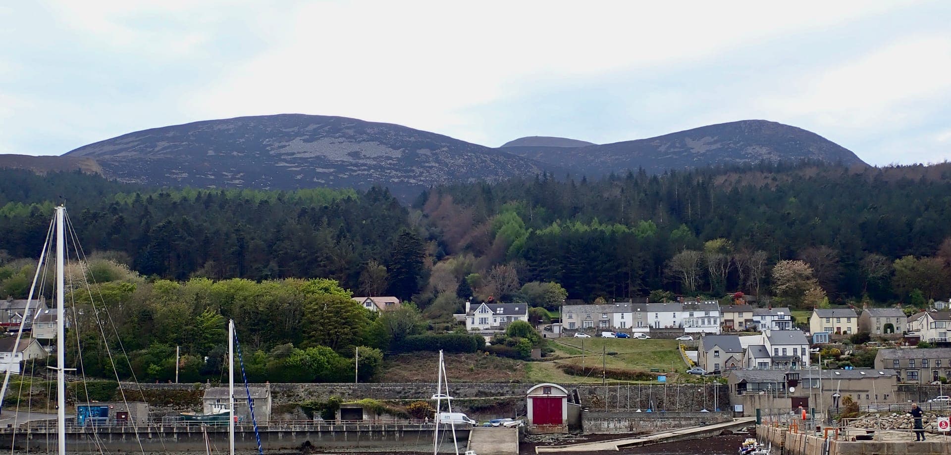 Endless Golden Days in the Mourne region