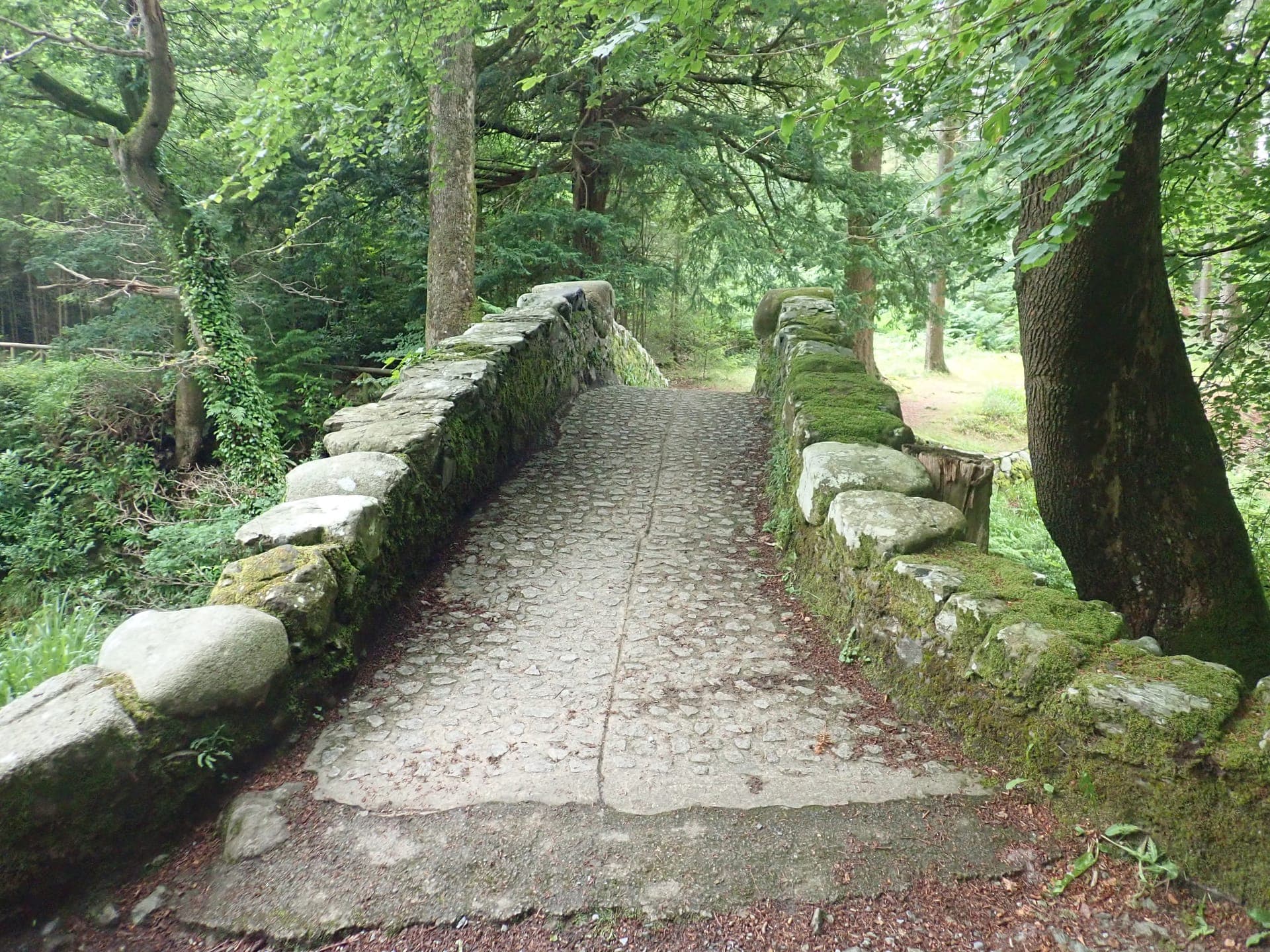 Rostrevor village with Carlingford Lough and mountains in the background