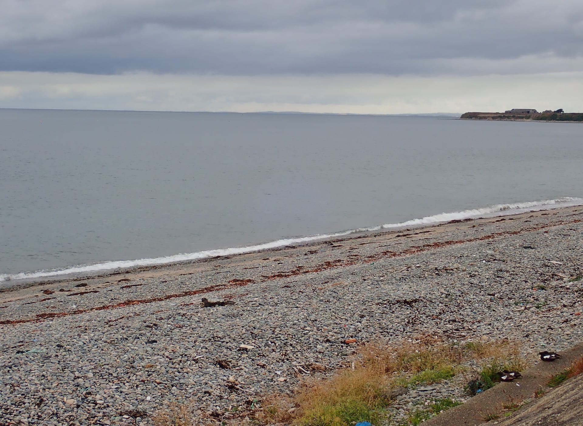 Annalong harbour with fishing boats