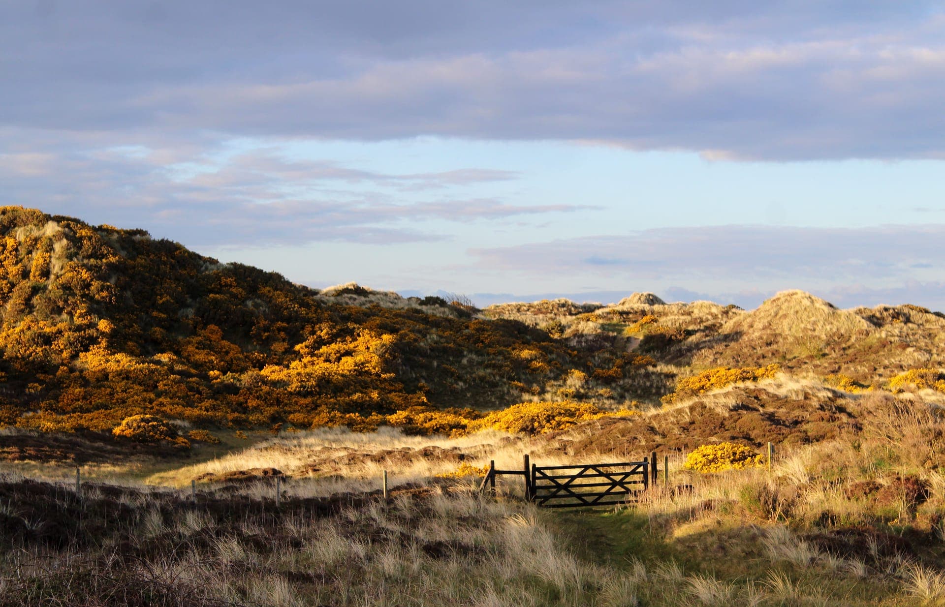 Murlough Nature Reserve