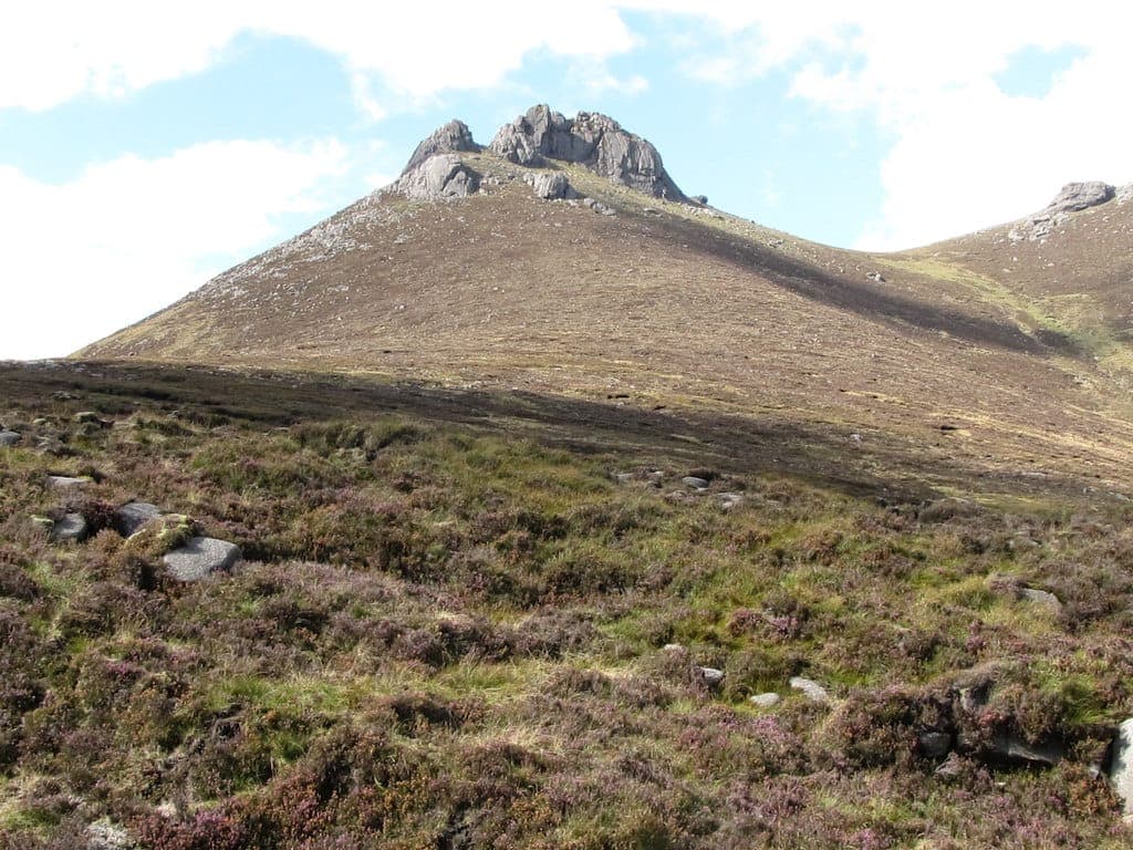 Golden summer light over the Mourne Mountains pastoral landscape