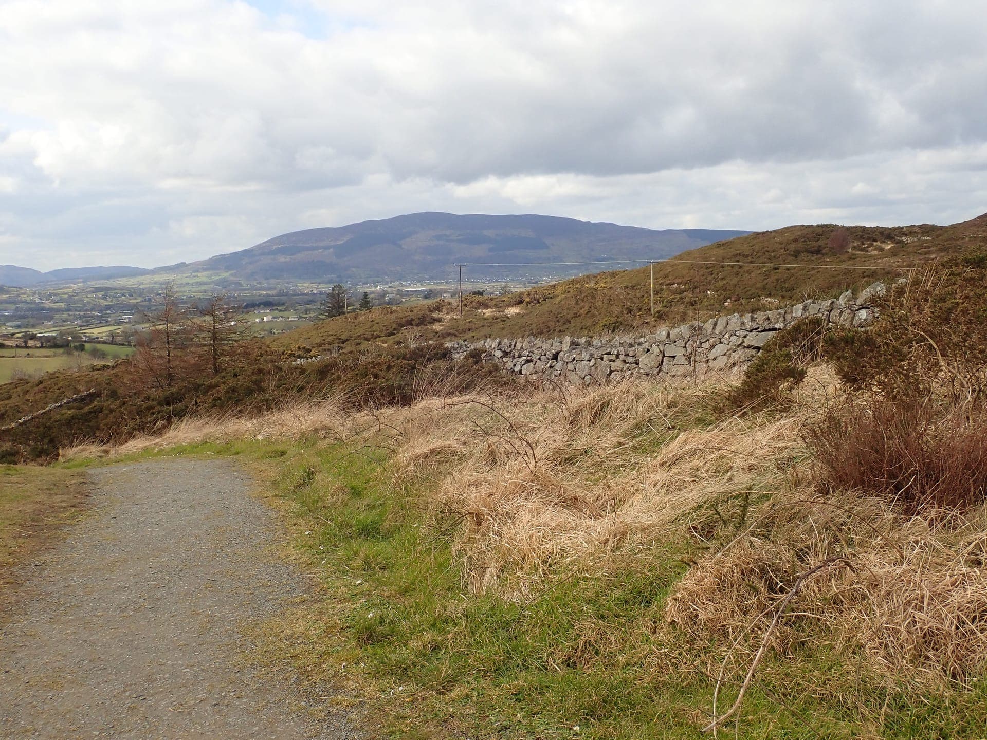 Walkers enjoying a trail through the Mourne landscape