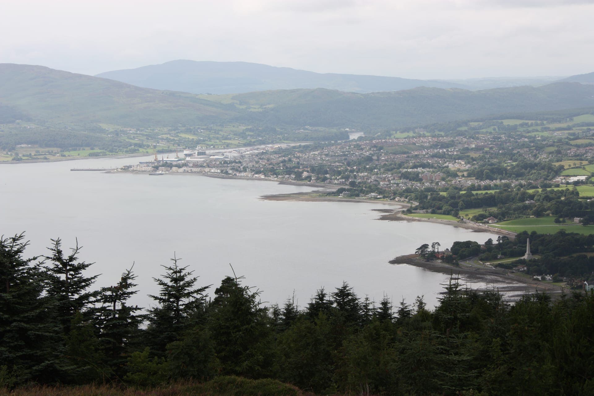 Mountain biker descending through forest with Carlingford Lough in background